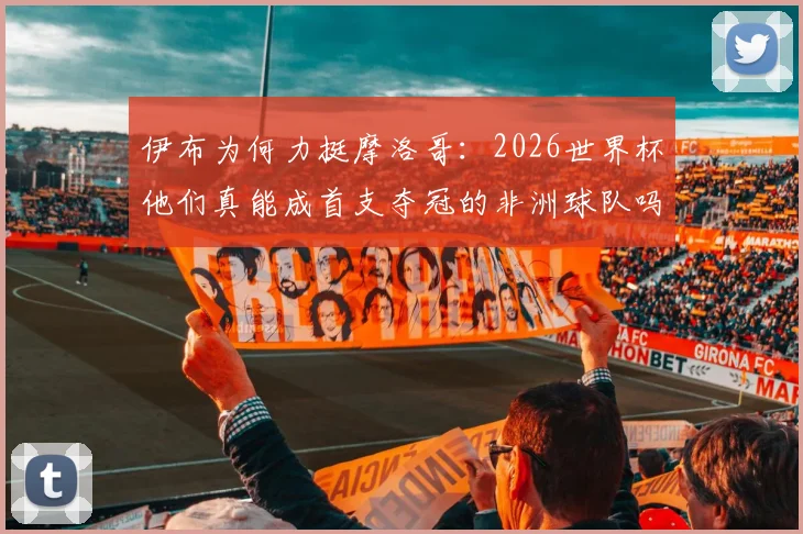 伊布为何力挺摩洛哥:2026世界杯他们真能成首支夺冠的非洲球队吗?深度解析非洲足球格局变迁