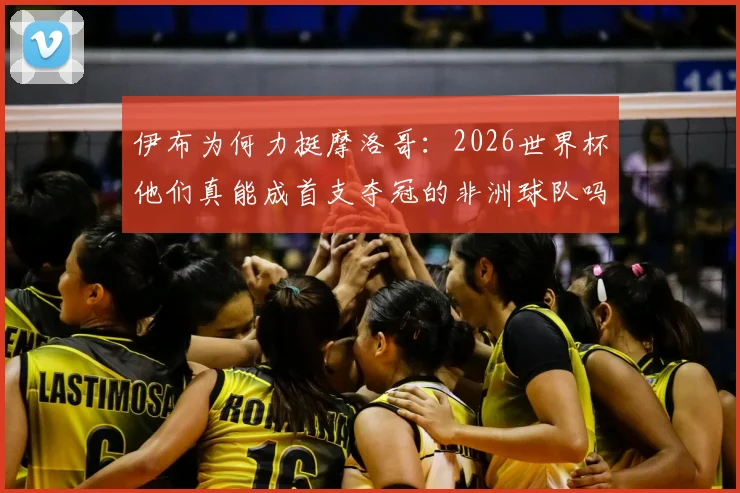 伊布为何力挺摩洛哥：2026世界杯他们真能成首支夺冠的非洲球队吗？深度解析非洲足球格局变迁